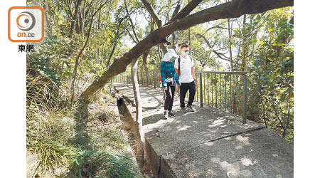 藍田公園：藍田公園附近的塌樹靠其他樹木及一條木棍承托，在樓梯上高懸，行人要小心躲避。