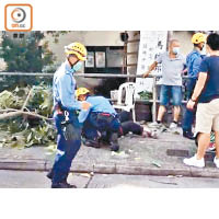 去年6月，大圍積信街有一棵石栗樹斷枝突然墮下，擊中85歲長者。