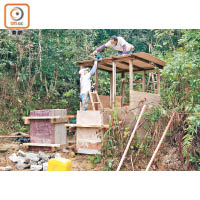 工人以木條打造一個約兩米高的更亭。