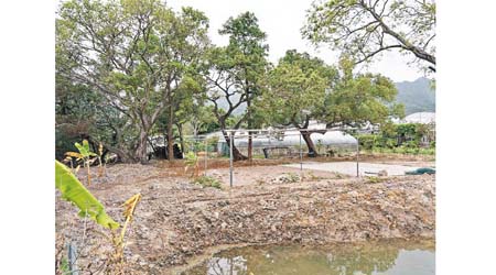 涉及挖土改建的農莊佔地達10萬平方呎。（李少文提供）