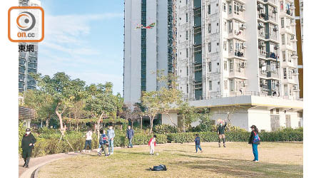洪福邨內提供兒童玩樂設施有限，邨內一幅草地便成為兒童放風箏及踢足球等活動的地方。