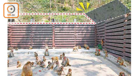 大埔道停車場加裝帶刺的圍欄有猴群聚集，宜裝擋板取代棘線。