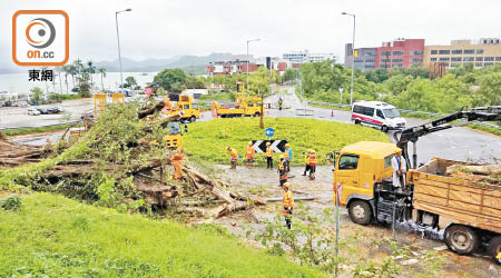 去年8月颱風「海高斯」襲港，多區出現塌樹。