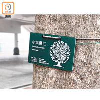 二維條碼樹木標籤有助向公眾顯示更多樹木的知識，例如樹木的品種。