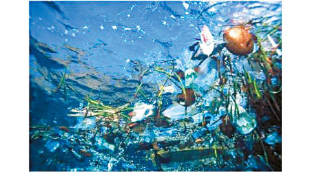 海洋垃圾污染問題備受關注。