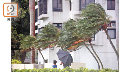 本港即將踏入颱風季節。