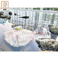 屯門河河面可見不少膠樽、垃圾等漂浮物。