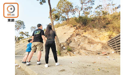 金山郊野公園護土牆上有大樹傾側，樹根外露，護土牆現裂縫。