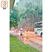 大嶼山：市民冒雨涉足而行，驚險萬分。