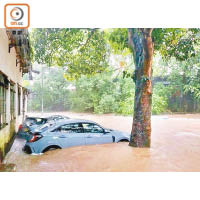 2018年8月29日，元朗每小時降雨量一度高達119毫米。