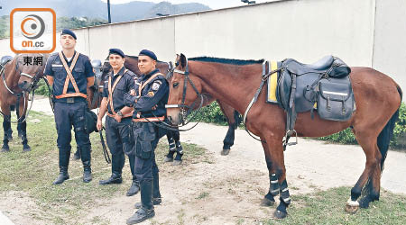 巴西隨處可見保安帶同馬匹駐守。