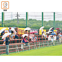 日本尋日落住雨，一班球迷仍擔晒遮入場睇鹿角操練。