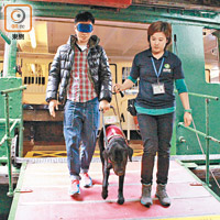 康仔於導盲犬協助下乘搭渡海小輪。